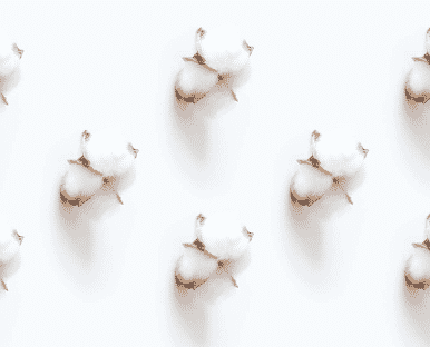 High demand for clothing